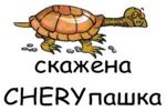 Аватара пользователя