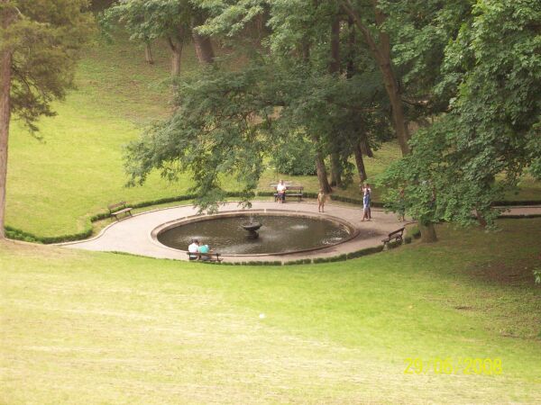 100_0238.JPG