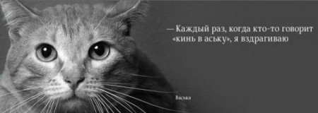 11999730551192212161kin0_v_as0ku_198.jpg