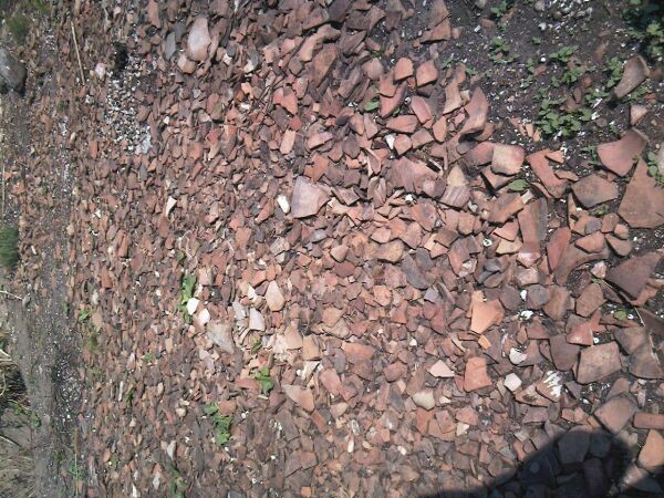 Photo-0257.jpg