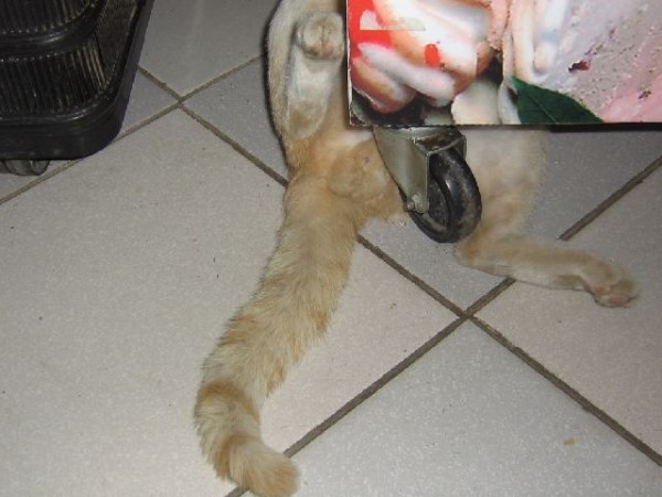 01.jpg