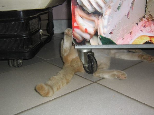 02.jpg