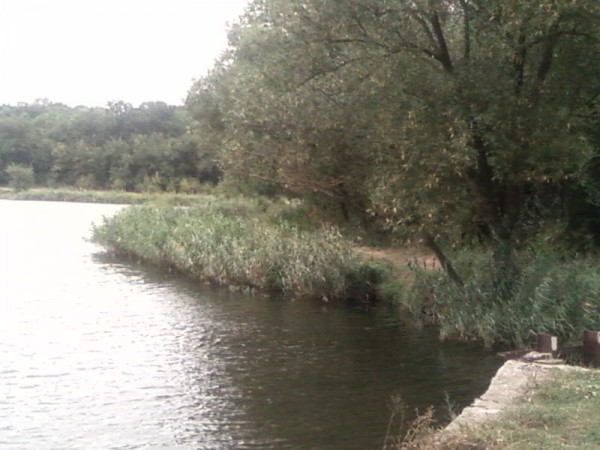 SP_A0348.jpg