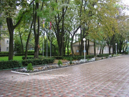PA061199.jpg