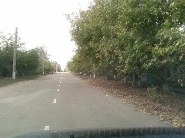 SP_A0390.jpg