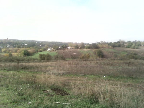 SP_A0397.jpg