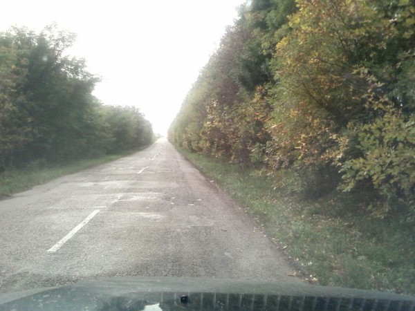 SP_A0403.jpg