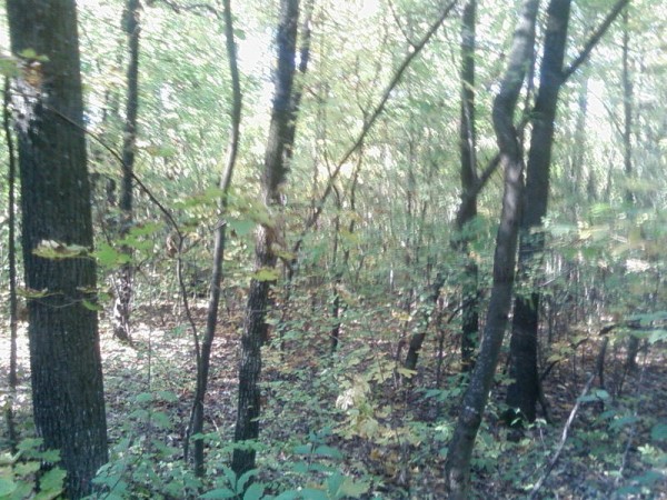 SP_A0451.jpg
