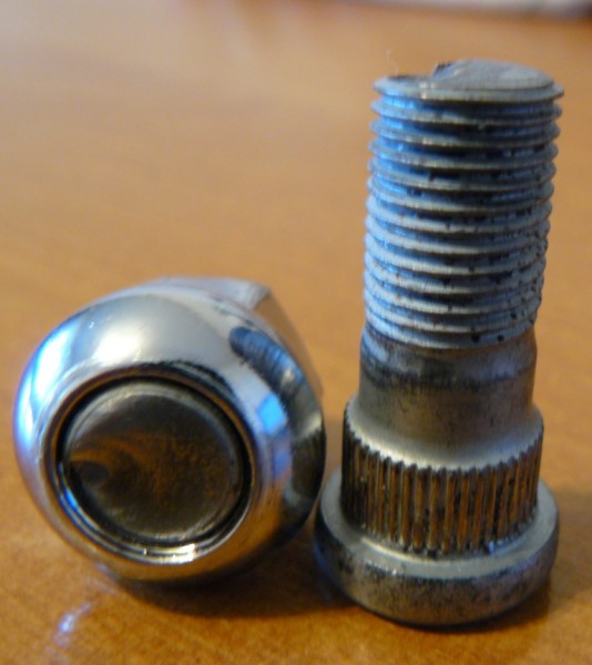P1010031.jpg