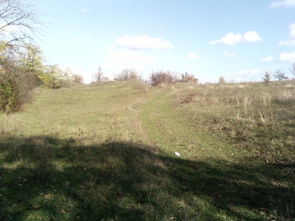 SP_A0478.jpg