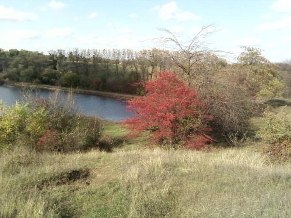 SP_A0482.jpg