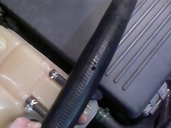 IMAGE_522.jpg