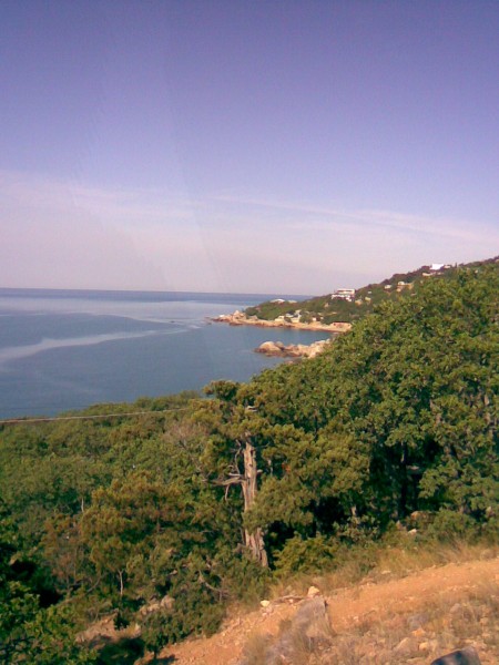 135.jpg