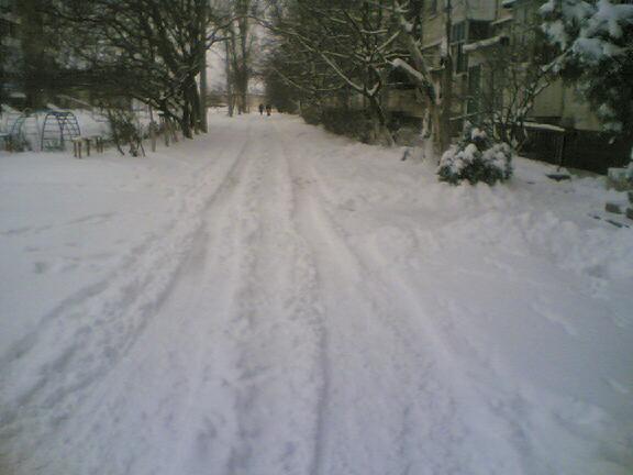 Image_08.jpg