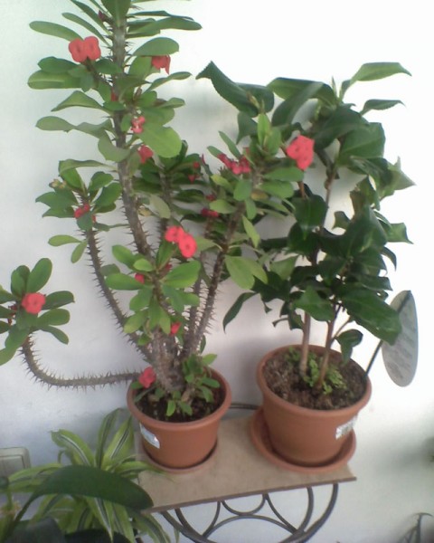 04-04-07_1855.jpg