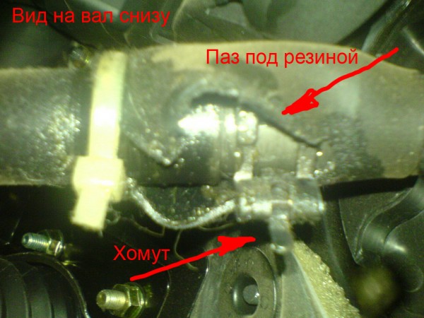 DSC00123.jpg