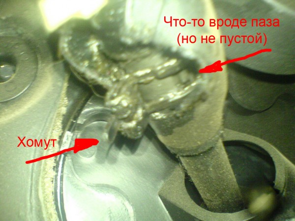 DSC00118.jpg