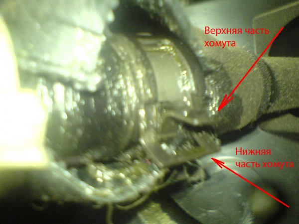 DSC00134.jpg
