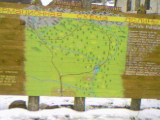 Photo-0017.jpg