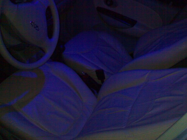 21022009543.jpg