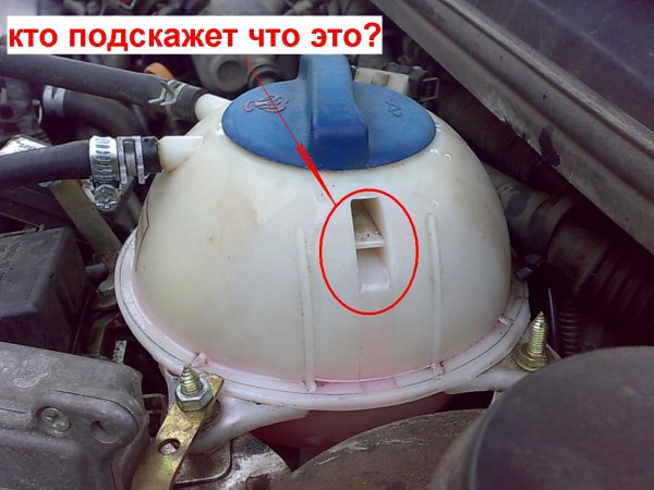 01.JPG