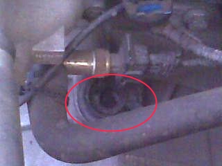 Фото036.jpg
