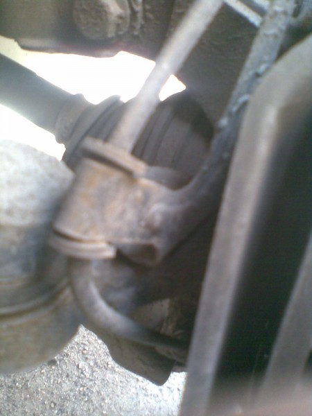 011.jpg