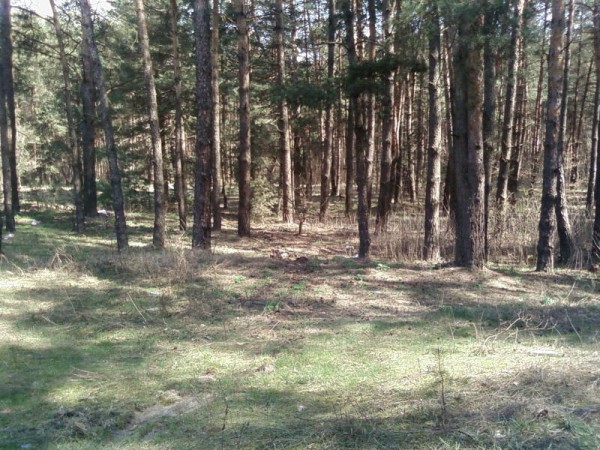 SP_A0653.jpg