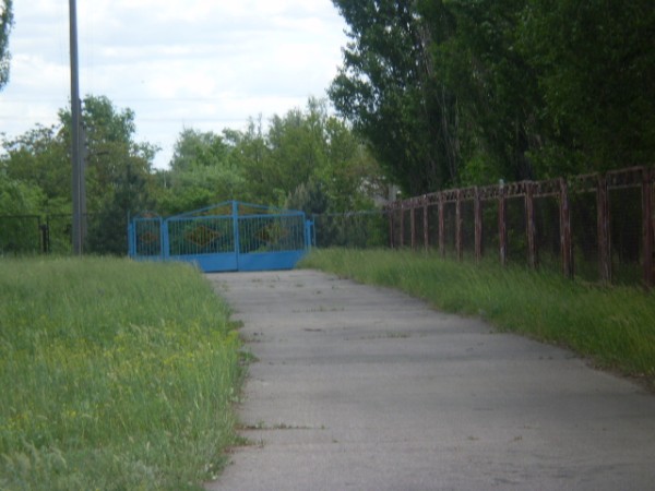 P5220256.JPG