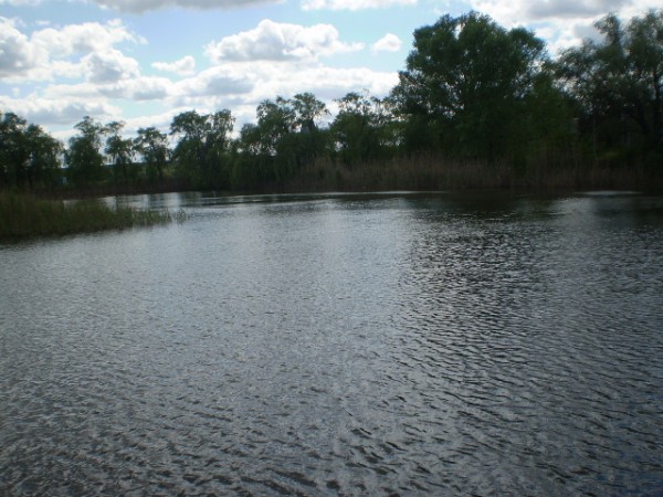 P5220244.JPG