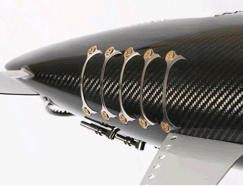 fish7.jpg