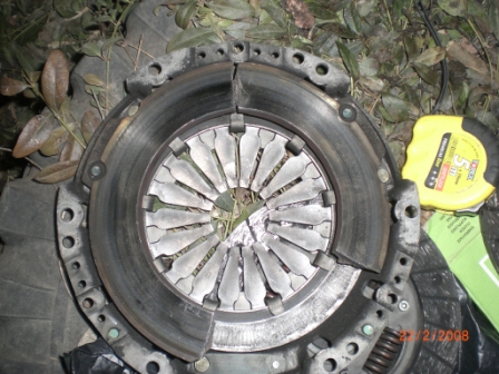 CIMG7545.JPG