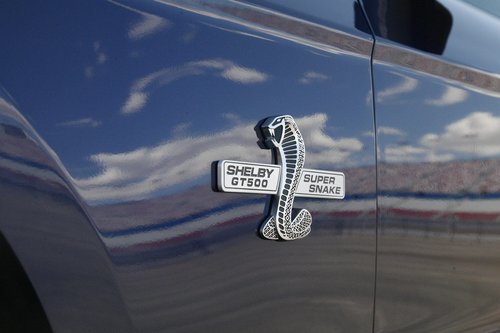 __mustang_shelby_gt500_ford__500_4a4884ec48b29.jpg