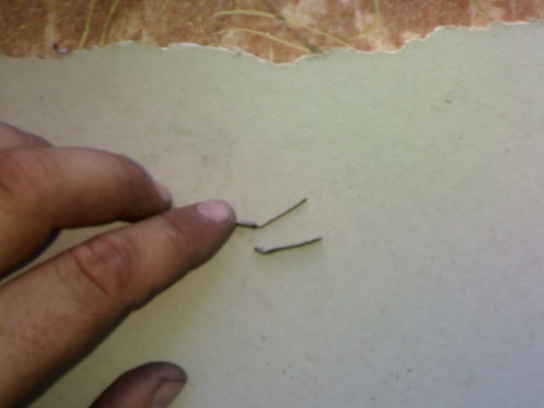 050720092093.jpg