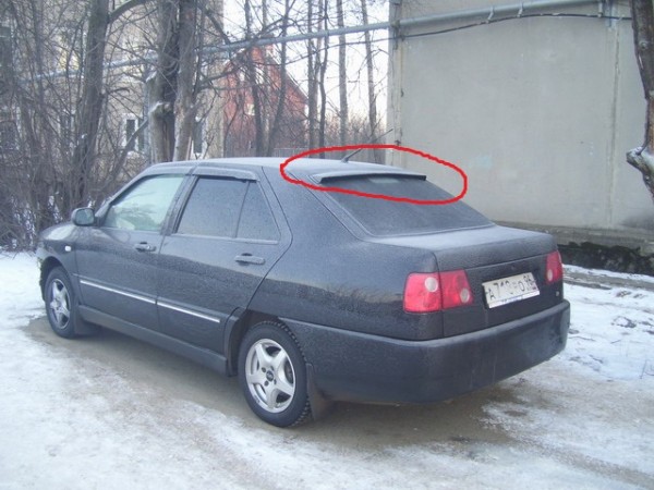 1_565.jpg
