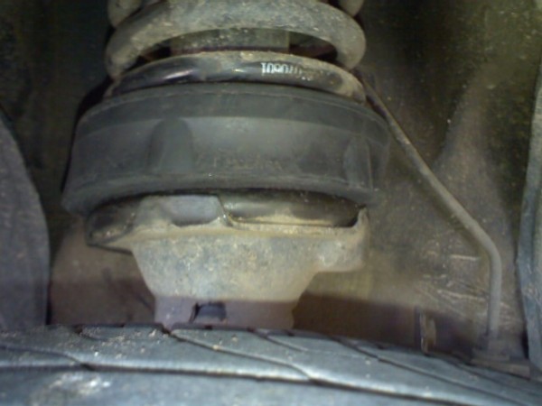 IMG105.jpg