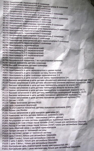 P9141543.JPG