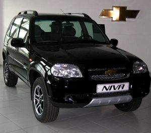 niva7.jpg