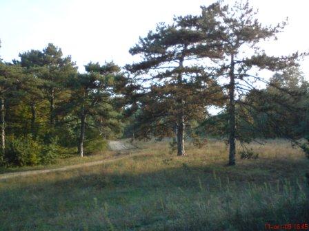 DSC00688.JPG