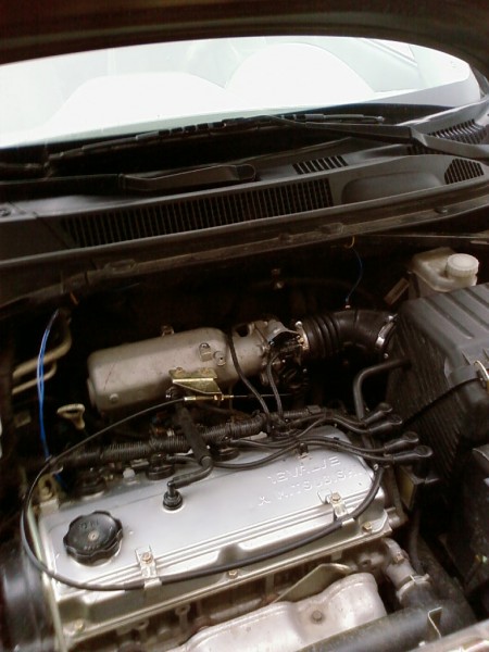 Photo-0007.jpg