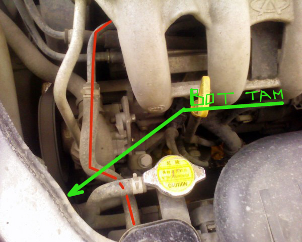 SP_A4426.jpg