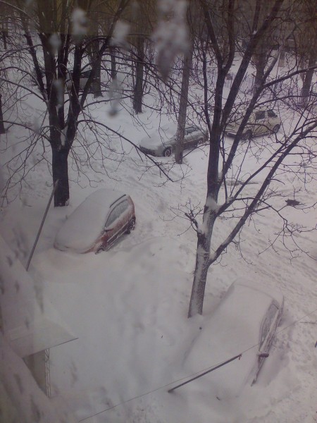 Под снегом.jpg
