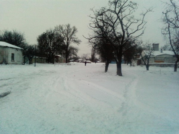 SP_A1246.jpg
