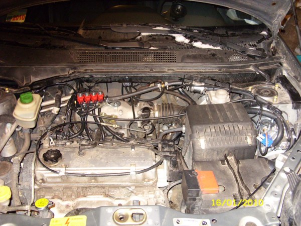 lpg7.jpg