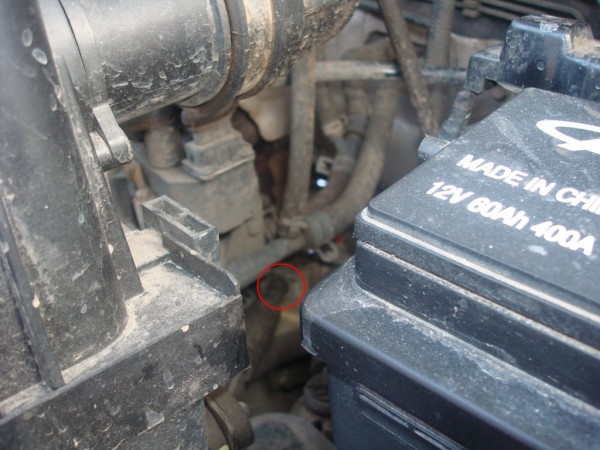 DSC95753.jpg
