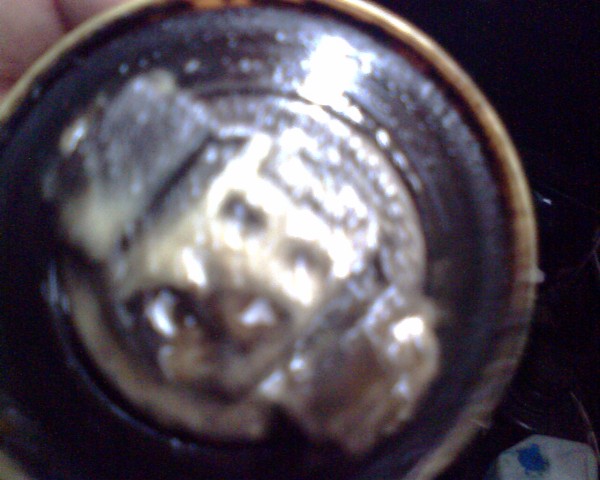 IMG0459A.jpg
