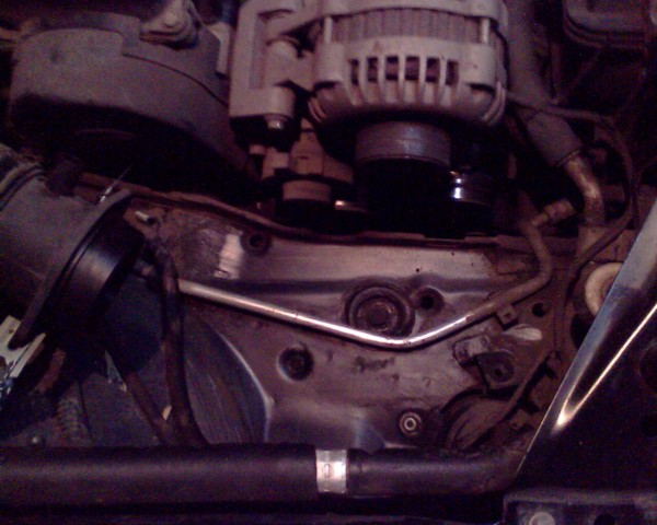 IMG0463A.jpg