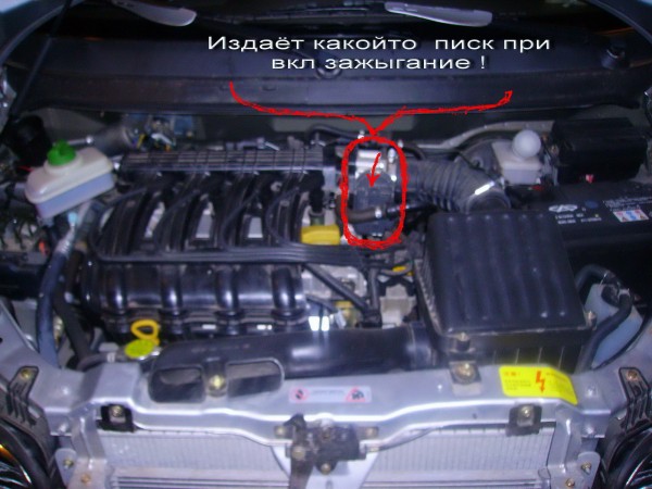 PICT0036.jpg