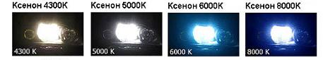 4300.jpg