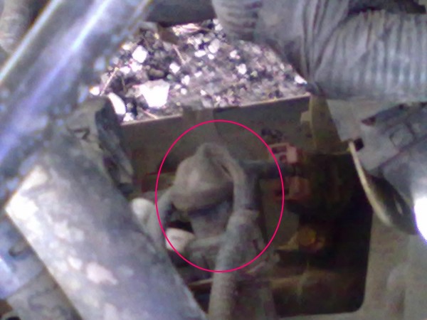 27032010052.JPG